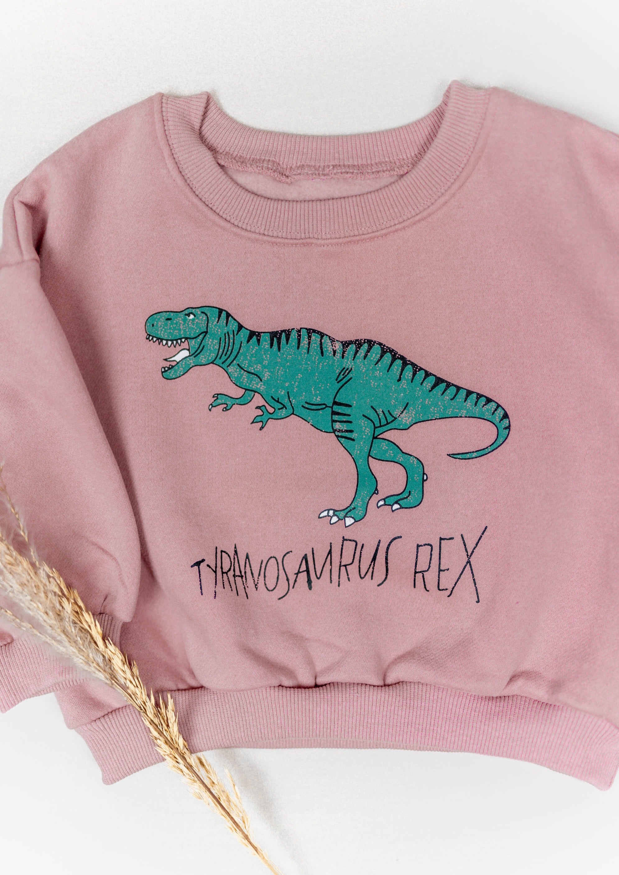 Rylee Dino Sweatshirt in Pink